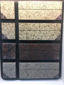 Granieten Aanvoelende Steenverf Veelkleurige Middelgrote Primer Op Waterbasis