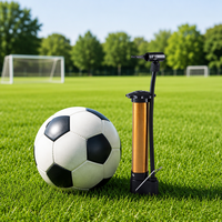 Aiju Alloy Mini Portable Air Pump 18cm for Ball Inflation-Bike Grip Soccer Football Basketball Inflator Wholesale