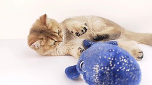 Balena blu che salta USB di simulazione di ricarica per animali domestici giocattolo da masticare peluche gatto grasso peluche suono animale gatto Pet <span class=keywords><strong>Toy</strong></span> - Product Image 2