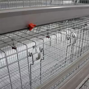 Système de cages en batterie multi-niveaux de type A pour l'élevage de poulets de chair au Ghana - Product Image 5