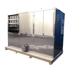 Kingwell Clear Ice Cube Production Machine and Packaging Line Industrial Price