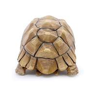 Figurine de tortue 2,5 cm en polyrésine, décoration de Collection, cadeau