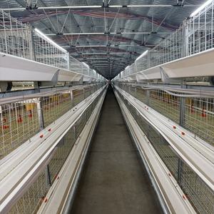 Cage de poulet de système de batterie à multiniveaux à haute efficacité de Type H pour les <span class=keywords><strong>poules</strong></span> <span class=keywords><strong>pondeuses</strong></span> - Product Image 5