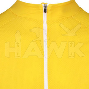 Personnalisable 100% Polyester Maillot de Cyclisme Séchage Rapide Top Vêtements de Sport pour Hommes Respirant Vélo Vêtements Logo Personnalisé Impression OEM - Product Image 6