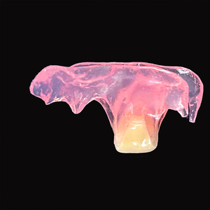 Protesi parziali flessibili personalizzate <span class=keywords><strong>Valplast</strong></span> cina <span class=keywords><strong>Dental</strong></span> <span class=keywords><strong>Lab</strong></span> prezzo consegna veloce - Product Image 2