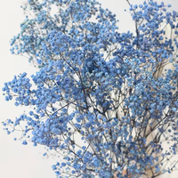 Flores Secas Naturales al por Mayor de Fábrica, Ramo de Gypsophila Preservada, para Bodas, Día de la Madre, Navidad, 400g