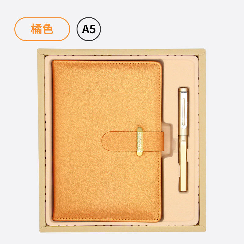 Ensemble de deux cahiers A5 dorés [Cahier et stylo en plastique] Or