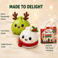 Calendrier de l'Avent Squishy 24 Jours Noël 2026, Calendrier de compte à rebours sensoriel anti-stress, Squishies surprise, Fidget anti-stress