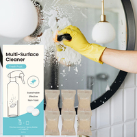 Tablettes nettoyantes effervescentes écologiques + Kit vaporisateur - Nettoyant concentré multi-surfaces zéro déchet