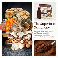 WELLBODY OEM/ODM Marque Privée Formule Personnalisée Supplément de Café aux Champignons en Poudre pour le Soutien Immunitaire - Poudre Instantanée pour Adultes