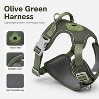 Kit de laisse et collier pour animaux de compagnie en nylon durable, rembourré pour plus de confort, pour chiot et chat, pour les promenades en plein air