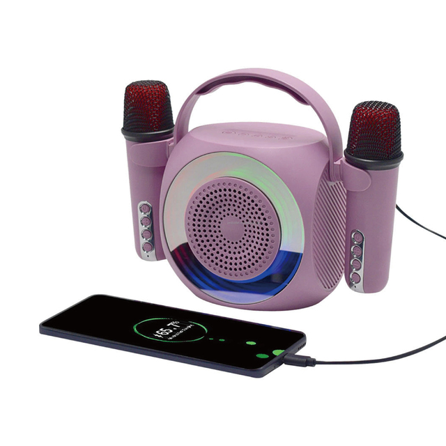 2024  Oem Handheld  Power Bank Magic Voices 1200mAh  Karaoke Mic Music Microphone Speaker