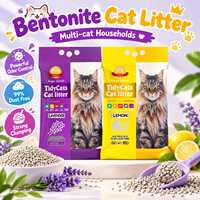 Litière pour chat sans poussière, agglomération rapide, bentonite de sodium, contrôle des odeurs, litière pour chat pour les foyers multi-chats