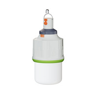 Éclairage d'urgence domestique, ampoule LED rechargeable à batterie amovible, haute luminosité, portable, pour camping, extérieur, nuit, urgence