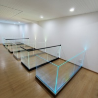 Systèmes de balustrades en verre pour villas modernes avec balustrade en aluminium et verre trempé pour balcon, terrasse, usage extérieur, installation DIY