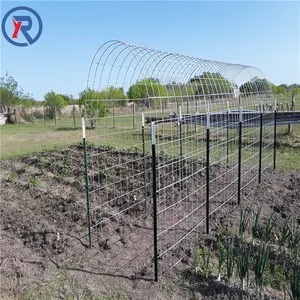Factory Price Heavy Duty T Post 6 Ft Fence Post/steel Studded T Post For Sale