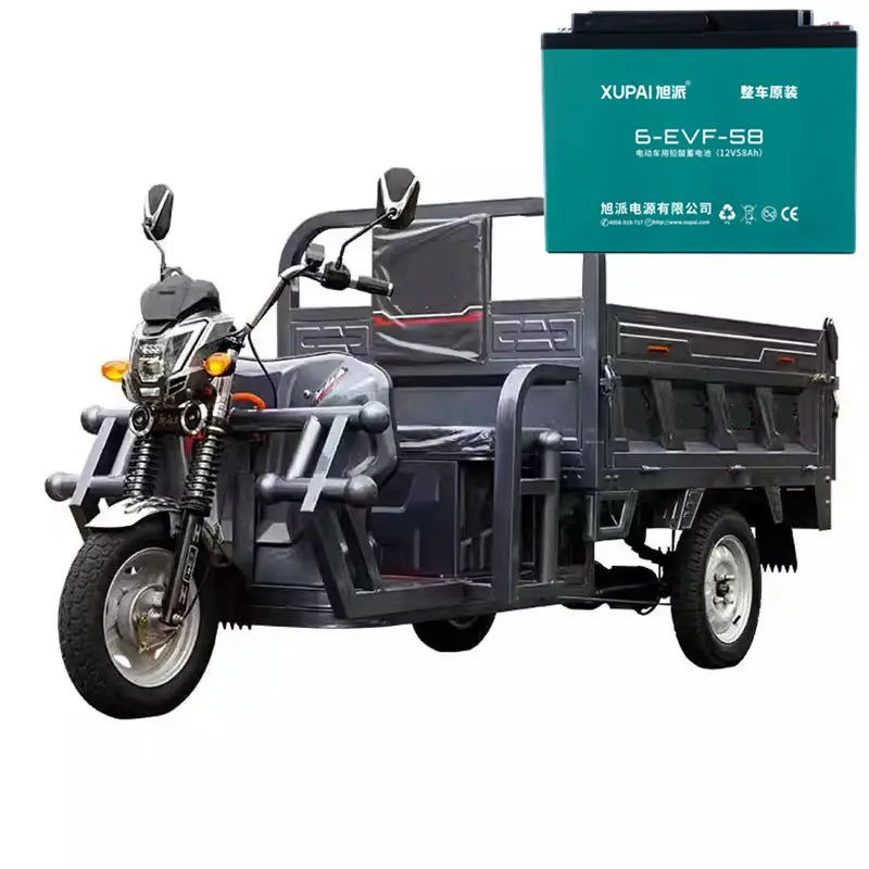 Triciclo elettrico cargo produttori 48 v58ah piombo-acido/gel batteria 3 ruote cargo elettrico bici 12v