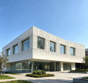 Panneau décoratif suspendu en alliage d'aluminium avec revêtement en poudre, couleur et taille personnalisables, services de découpe/soudure pour usage extérieur mural - Product Image 5
