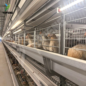 Cages à poules pondeuses de type H, 4 niveaux, alimentation automatique, acier Q235, galvanisation à chaud, cage pour la production d'œufs, 90-200 poulets - Product Image 3