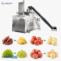 Automatische industriële stoomschiller voor het schillen van groenten en fruit, PLC-besturing, CE ISO9001 garantie
