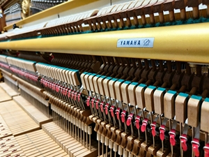 Piano Vertical Yamaha U7 Marrón, 88 Teclas Contrapesadas, Teclado de Madera Sólida, Estilo Clásico, Montaje en Suelo, Caja de Madera Marrón - Product Image 6