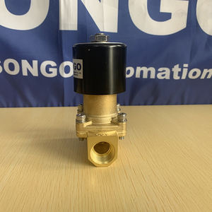 松戈16bar高压双向12VDC活塞蒸汽黄铜磁性电磁阀 - Product Image 2