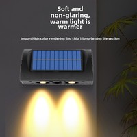 Lampe solaire murale de jardin à 2 LED IP65, éclairage automatique toute la nuit avec batterie au lithium, résistante à l'eau, double température de couleur