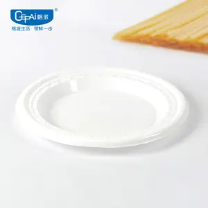 Elegant Disposable Plastic Plate Plastic Plates Sets Dinnerware for Party for Wedding