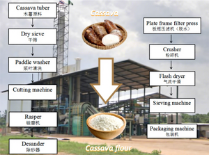 Équipements de transformation de farine de <span class=keywords><strong>manioc</strong></span> de haute qualité |   Usine de transformation de farine de <span class=keywords><strong>manioc</strong></span>/tapioca/<span class=keywords><strong>fufu</strong></span> - Product Image 2