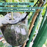 Boîte de bouturage agricole moulée pour greffage, outils de propagation haute pression, pods de bouturage aérien transparents