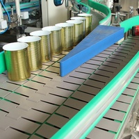 Chaîne de production d'emballage de l'industrie alimentaire conception de convoyeur à bande à chaînes de dessus de table