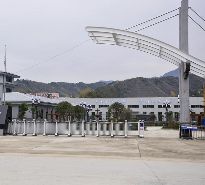 edamame protein powder