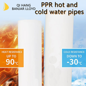 Fabricants de tuyaux PPR, vente en gros à bas prix, écologiques, norme DIN8077/8088, tuyaux PPR DIN - Product Image 2