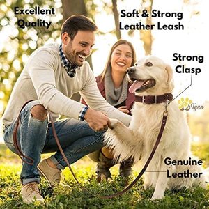 Cuir souple et solide de 6 pieds x 3/4 pouces pour les grandes et moyennes races-Laisse d'entraînement pour chien robuste (marron) - Product Image 4