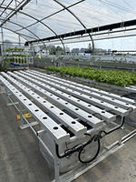 Systèmes de culture hydroponique agricole multicouche pour laitue Technique de film nutritif