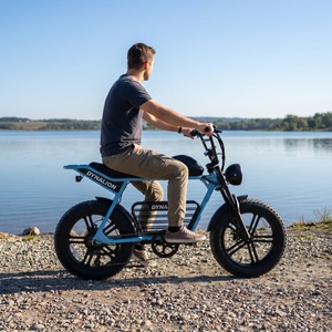 Vélo électrique mini 48V avec phare LED et dérailleur 7 vitesses, vélo électrique tout-terrain pour les escapades de week-end - Product Image 4