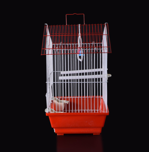 כלוב ציפורים מעור טיגריס, כלוב רבייה לתוכים, כלוב מתכת ביתי מברזל עם פלסטיק לציפורים בווילה - Product Image 4