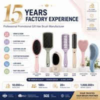 Mini brosse à cheveux avec coussin d'air, peigne de massage portable pour le soulagement du cuir chevelu, brosse à cheveux pour enfants et femmes, OEM