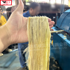 Línea Industrial de Extracción de Fibra 1-5T/H a Gran Escala para Procesamiento de Cáñamo/Banana/Sisal/Yute/Piña - <span class=keywords><strong>Comprar</strong></span> Equipo de Extracción de Fibra - Product Image 6