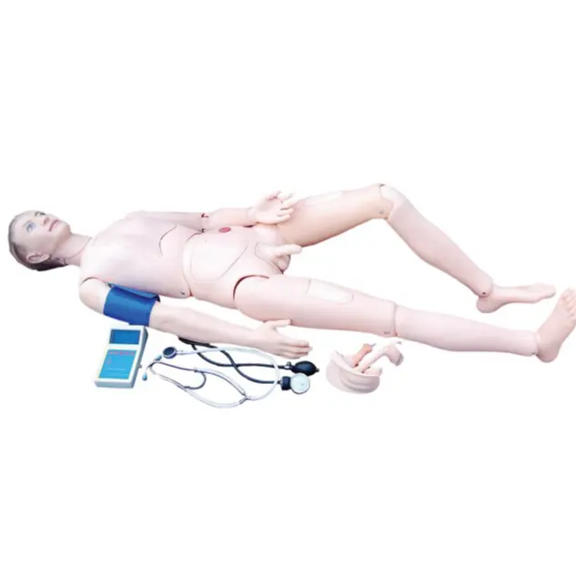 उन्नत संयुक्त नर्सिंग मॉडल रक्त दबाव माप हाथ के साथ, पूर्ण-कार्यात्मक चिकित्सा नर्सिंग कौशल के प्रशिक्षण पुतला