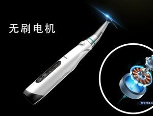 Strumenti chirurgici per la cura dentale della lima motoristica - Product Image 2