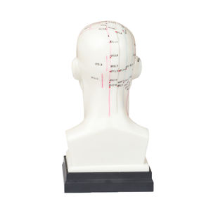 رئيس الوخز بالإبر نموذج 22 سنتيمتر رأس بشري الطب الصيني التدريس نقطة الوخز بالإبر نموذج - Product Image 4