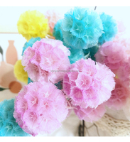 Bunga Kering Alami Diawetkan Pristimera Foliage Pinwheel Fruit Scabiosa DIY Rangkaian Bunga Dekorasi Rumah Pernikahan Toko