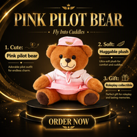 Ours en peluche personnalisé pour infirmière, jouet en peluche brodé, cadeau promotionnel médical en peluche douce