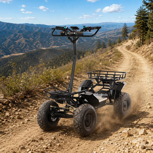 Prix d'usine Puissant scooter électrique 4000W 4x4 pliable avec direction, <span class=keywords><strong>Quad</strong></span> électrique monoplace, Scooter de mobilité électrique - Product Image 1