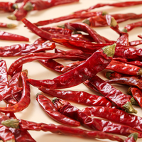 Piments rouges séchés naturellement de haute qualité de la marque Zhongbotang, provenant de la province du Hunan, vente en gros pour épices, plats mijotés et hot pot
