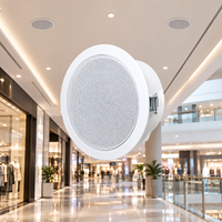 Haut-parleur encastré au plafond en métal pour amplificateur domestique, système de sonorisation, haut-parleur audio commercial, vente directe d'usine