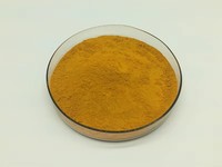 Poudre de Camellia Sinensis de qualité alimentaire, poudre de thé noir instantané
