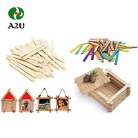 Fournisseur de bâtonnets de crème glacée en bois de bouleau, bâtonnets de sucettes glacées imprimés