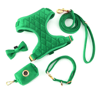Harnais et laisse pour chien en velours de qualité supérieure, accessoires pour animaux de compagnie, gilet de promenade pour chien, couleurs assorties, personnalisation acceptée